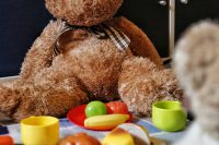 Teddy bear picnic