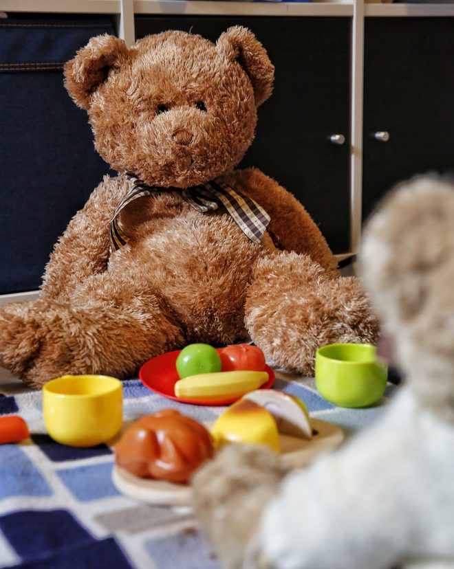 Teddy bear picnic