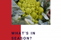 Whats in season download