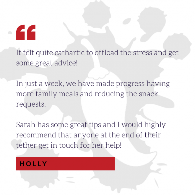 Holly's How to feed your fussy eater testimonial