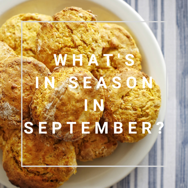 What's in season - September